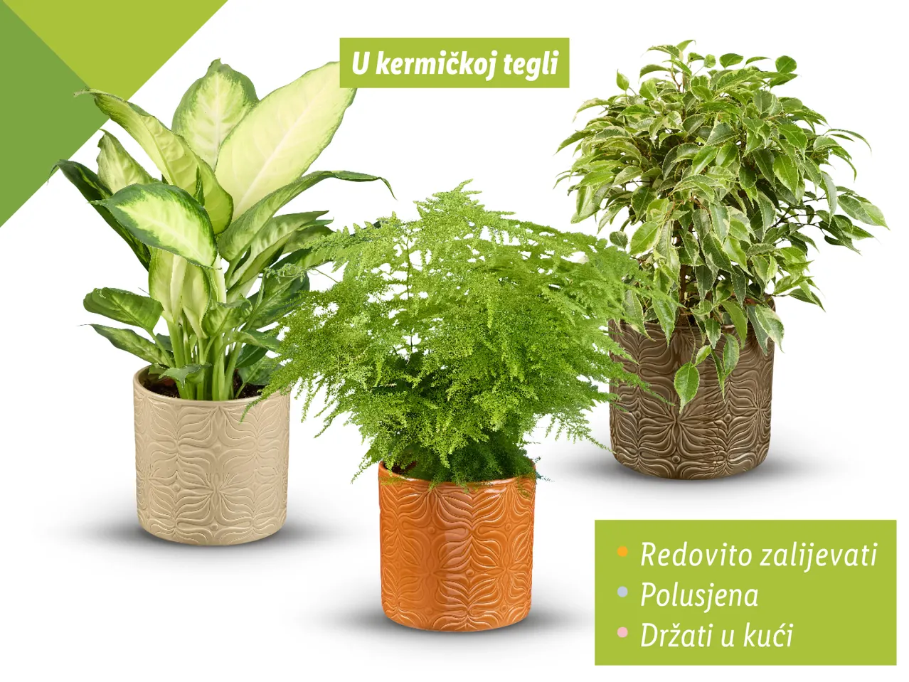 Zeleni mix