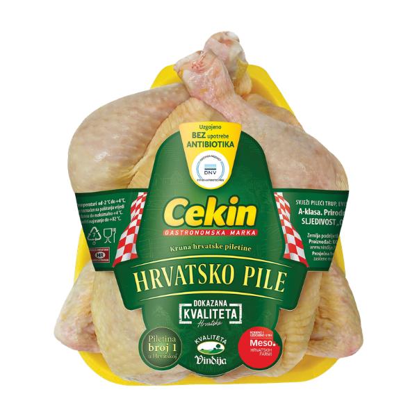Hrvatsko pile Cekin