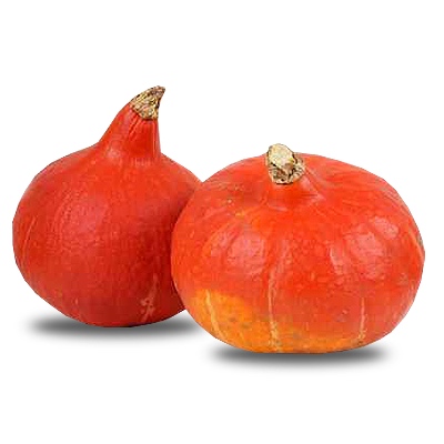 Domaća tikva Hokkaido