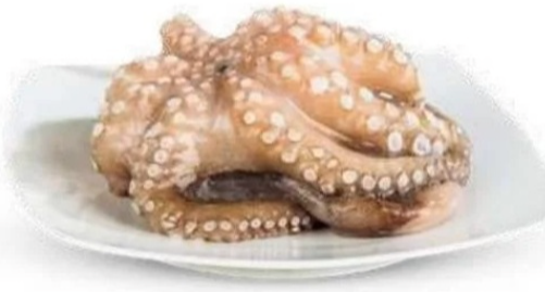 Hobotnica, očiščena